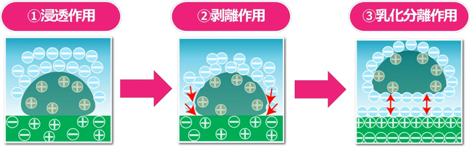 01.浸透作用 →　02.浸離作用 →　03.乳化分離作用